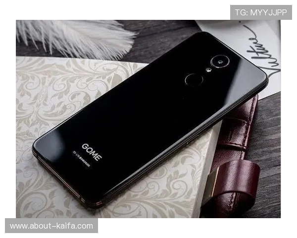 凯发娱乐app手机安全登录攻略，保障账号信息安全与隐私保护